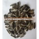 Inner Mongolia sunflower seeds with low price