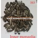 2018 new crop sunflower seeds 363 with low price