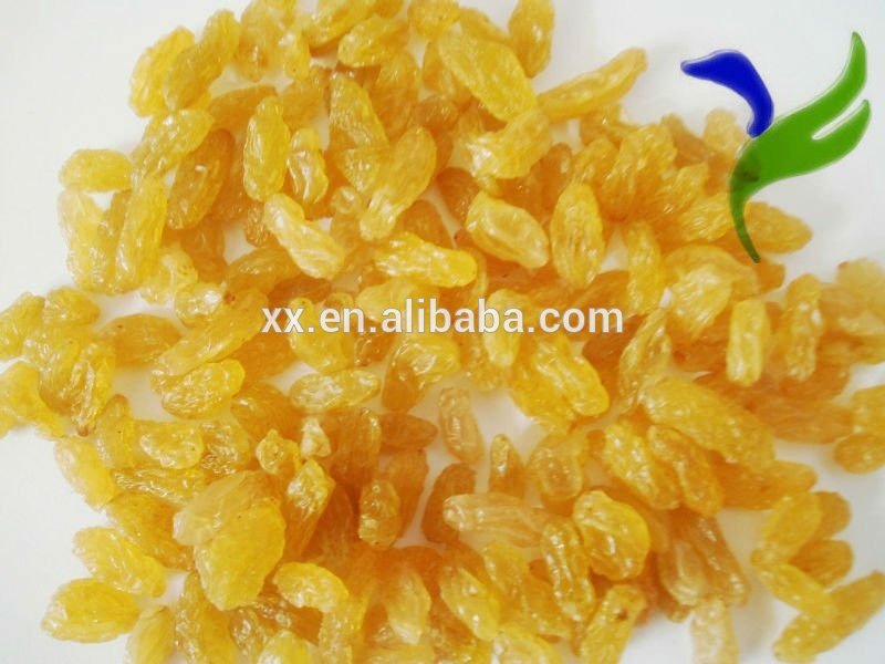 names of all dry fruits golden raisins